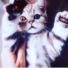 Ruslan.999